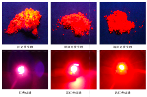 项目成果 项目成果