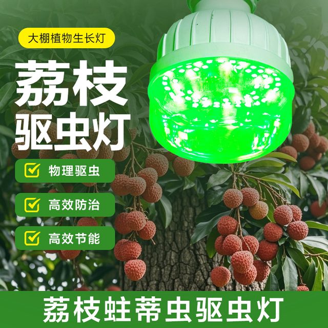 荔枝蛀蒂虫驱虫灯