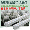脉能省组培补光灯