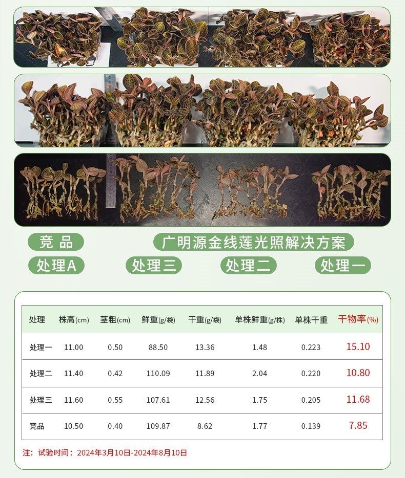 1111_副本11