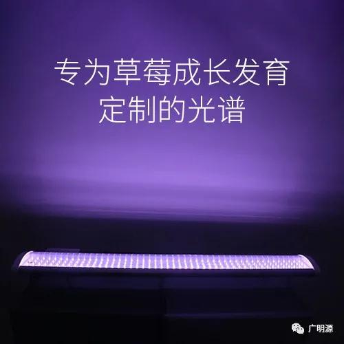 微信图片_20210803153636