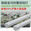 脉能省组培补光灯