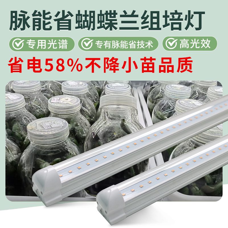 脉能省组培补光灯