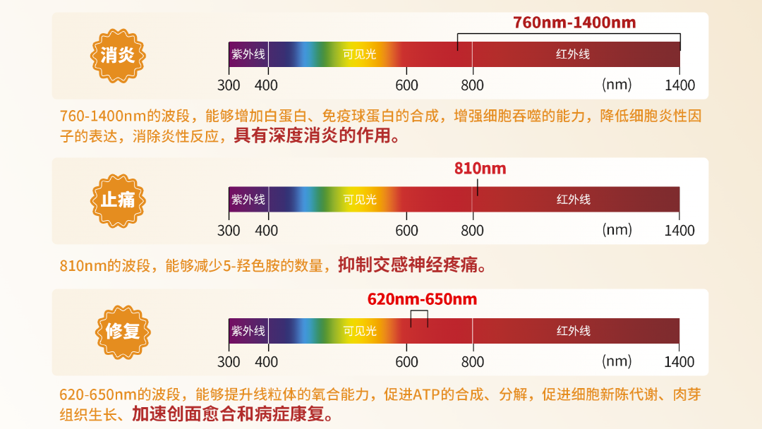照尚红外治疗仪消炎、止痛、修复
