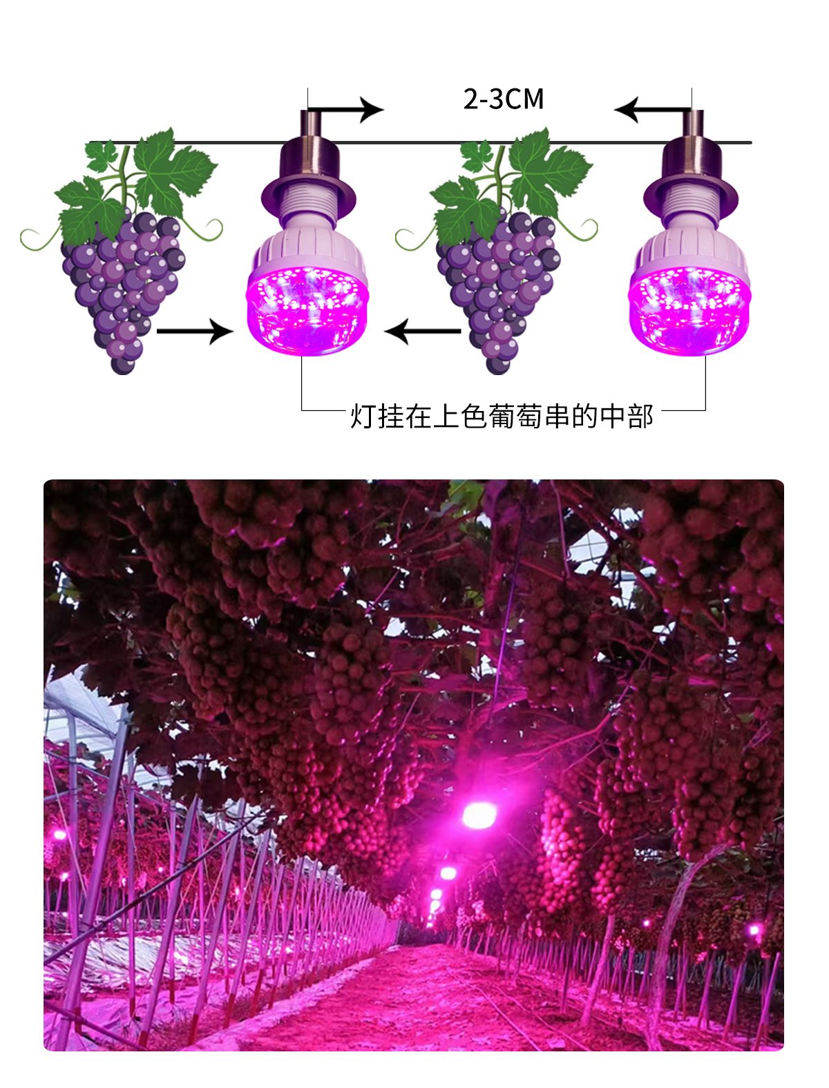 安装示意图-setup 安装示意图-setup
