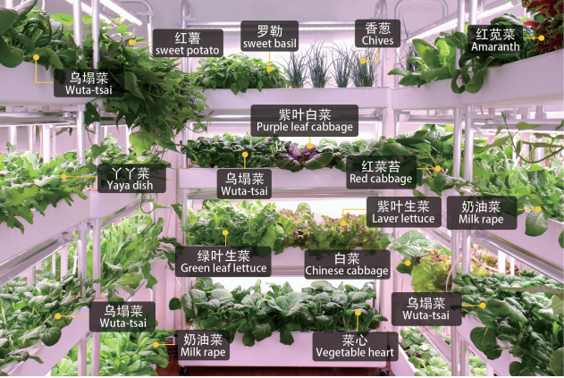 demeter系列种植机-01
