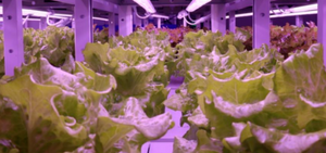 IMG_202309264046_1600x750.png