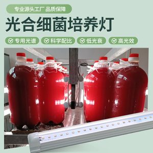 光合细菌培养灯