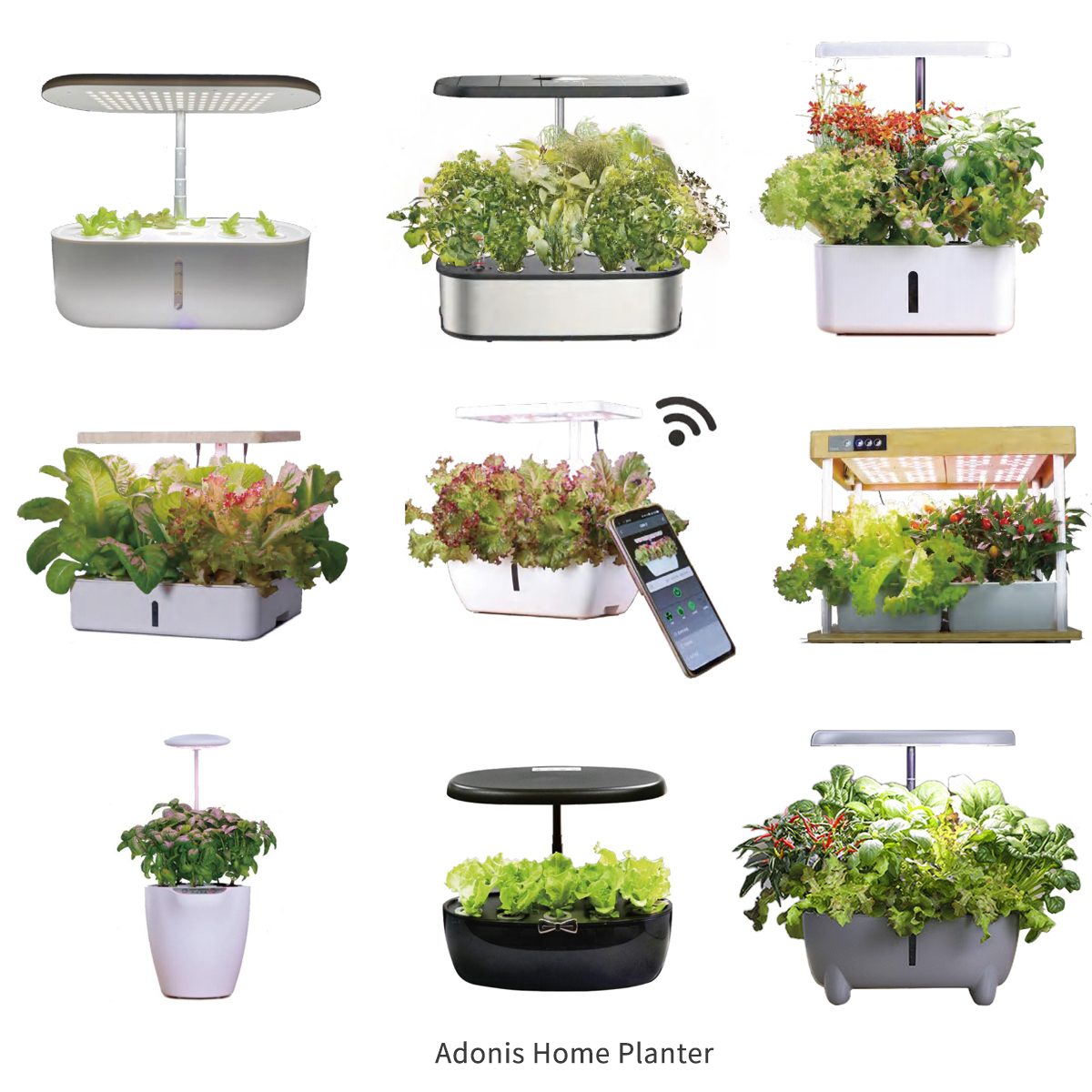 adonis home planter adonis home planter