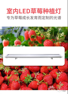 微信图片_20210803153337.jpg